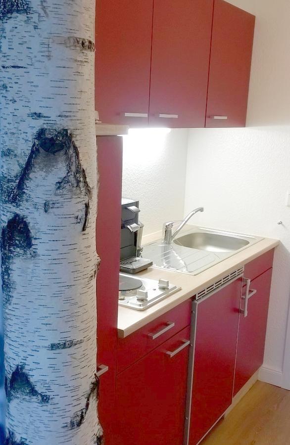 Henne Hahnenklee Apartment Goslar Ngoại thất bức ảnh